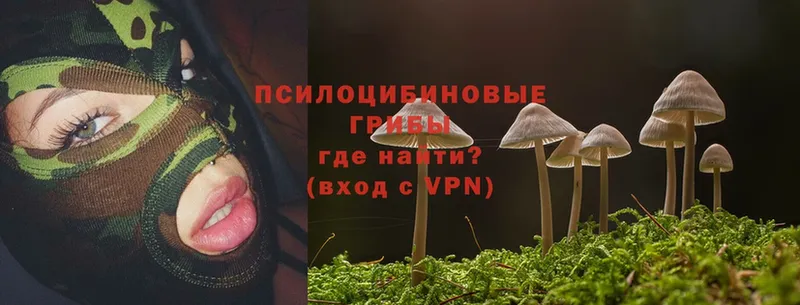 Галлюциногенные грибы Magic Shrooms  Елабуга 